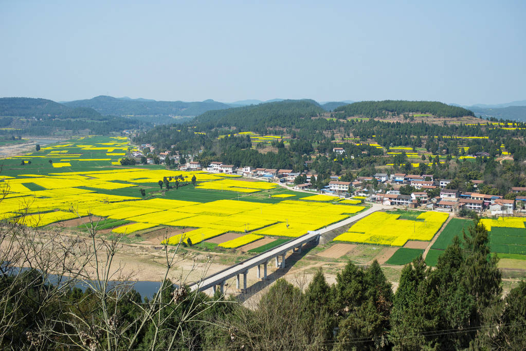 乡村风景在春天